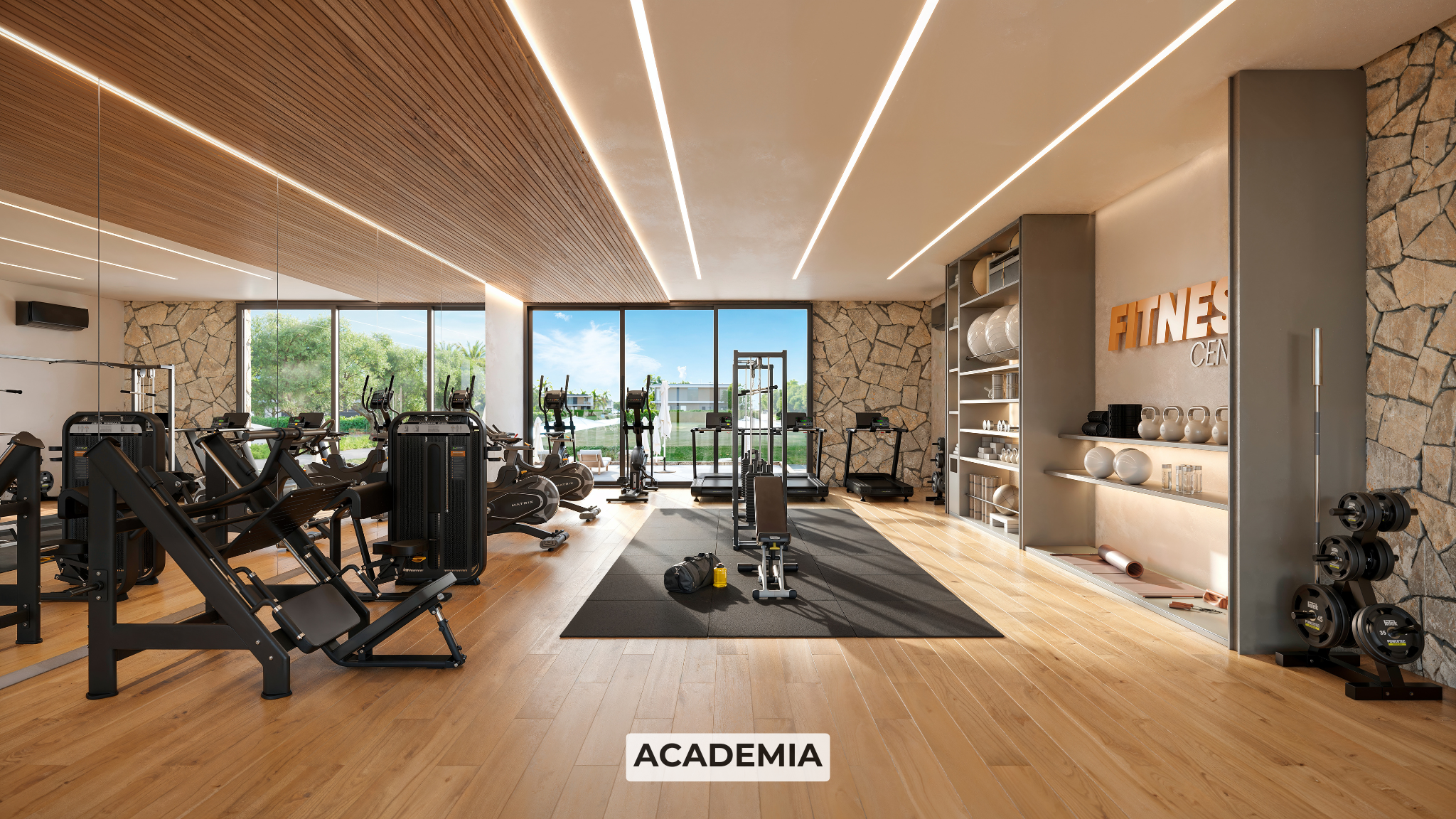 Academia