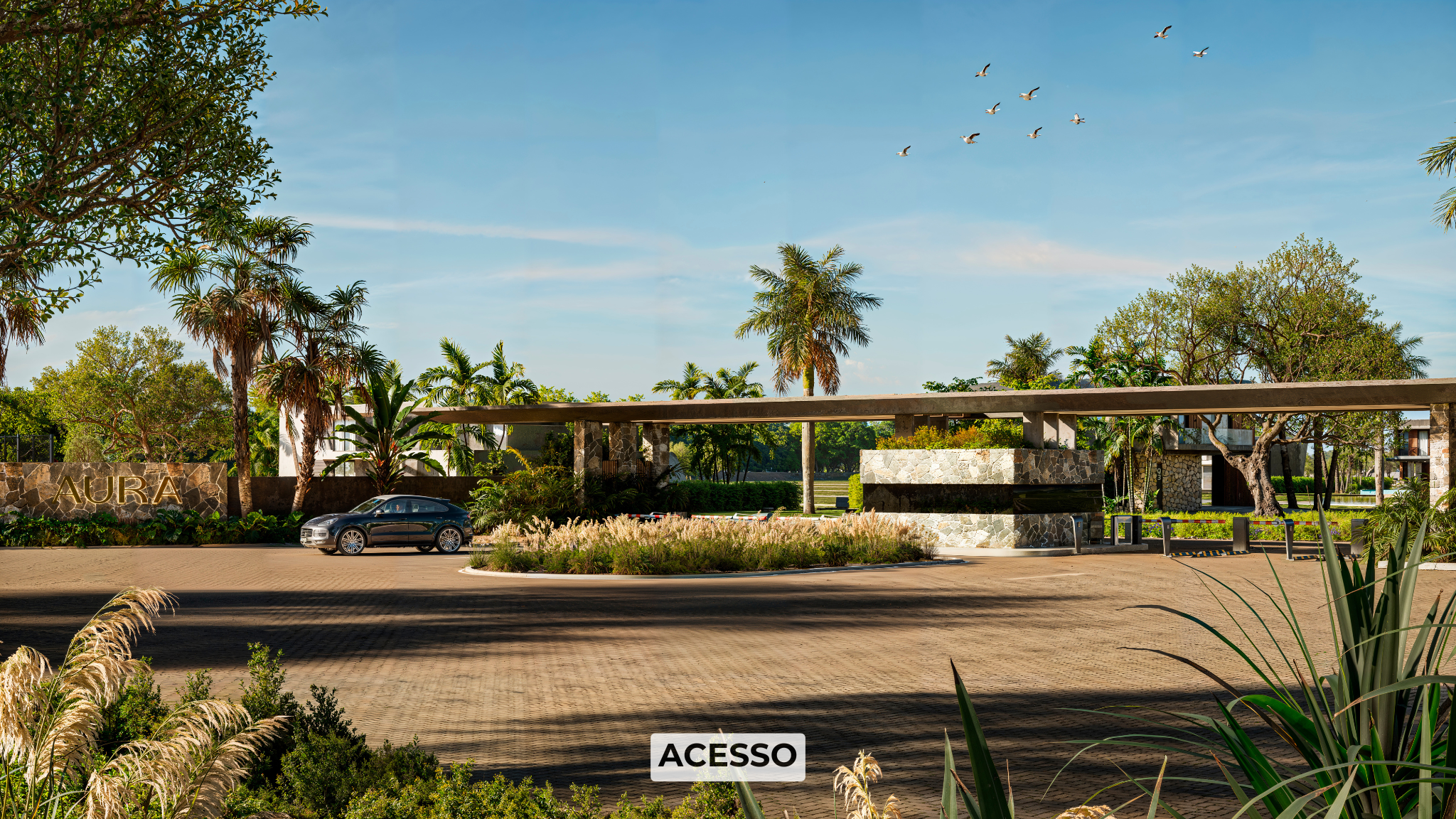Acesso (3)